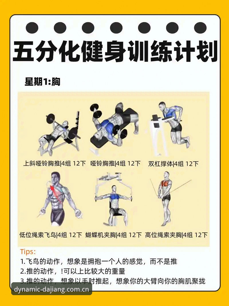大江体育手机版 家庭健身计划 vs 健身房:为什么大江体育手机版才是现代人的最优解?